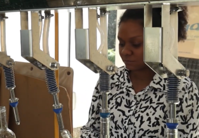Dia das Mães; produtora rural Miriam Santiago Krindges