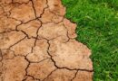El Niño deve durar pelo menos 9 meses e afetar todo o ciclo da soja 26/27
