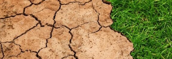 El Niño deve durar pelo menos 9 meses e afetar todo o ciclo da soja 26/27