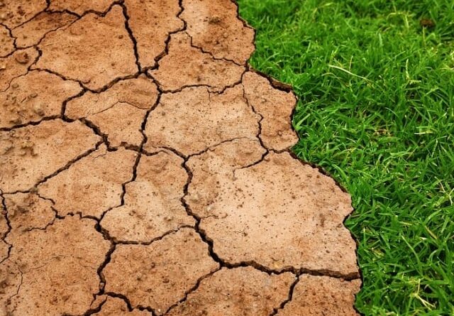 El Niño deve durar pelo menos 9 meses e afetar todo o ciclo da soja 26/27