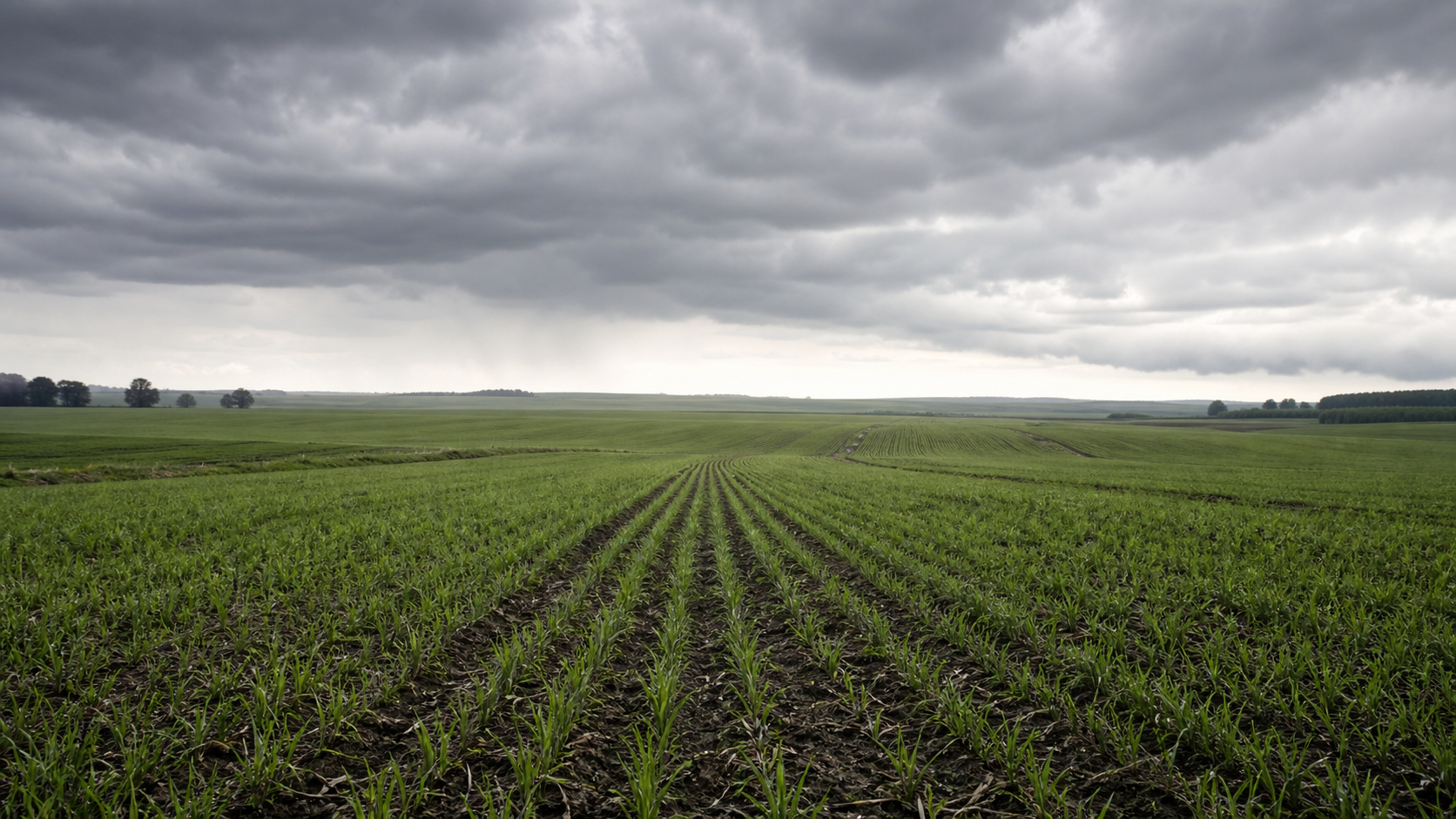 El Niño exige ajuste técnico na safra de inverno no Sul