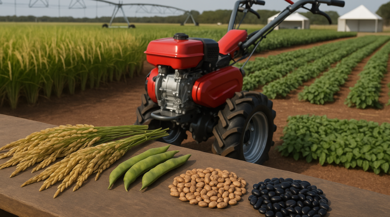 Embrapa apresenta novas cultivares de arroz e feijão na AgroBrasília 2026