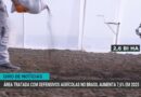 Expectativa de maior demanda global aquece mercado de soja no Brasil