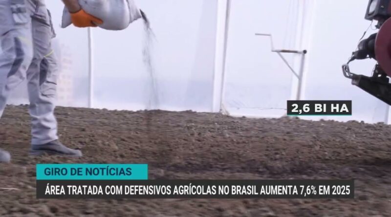 Expectativa de maior demanda global aquece mercado de soja no Brasil