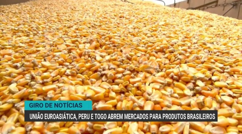Exportação de carne bovina do Brasil cresce 29% em receita em abril