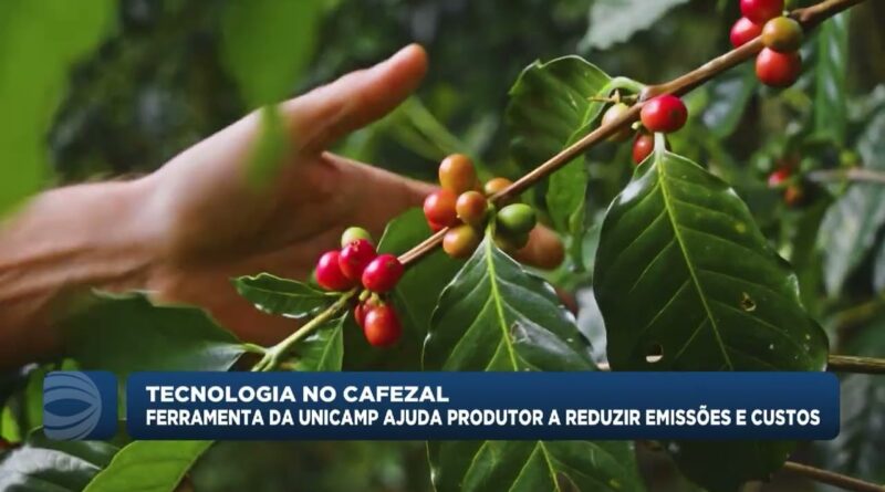Ferramenta do Cepagr ajuda produtores de café a reduzir emissões e custos