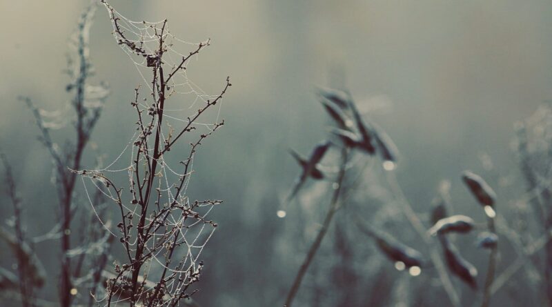 massa de ar frio chuva