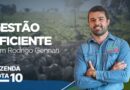 Gestão estratégica de pastagens e seu impacto na rentabilidade da pecuária