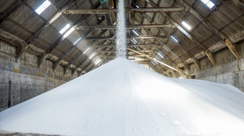 Governo Federal reativa fábrica de fertilizantes na Bahia