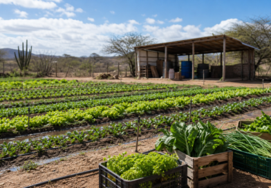 Governo anuncia R$ 12,5 milhões para agricultura familiar no Rio Grande do Norte
