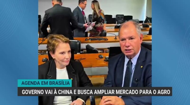 Governo brasileiro busca ampliar mercado agropecuário na China