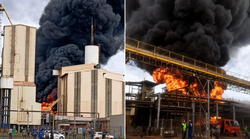 Incêndio Cooperativa Coamo