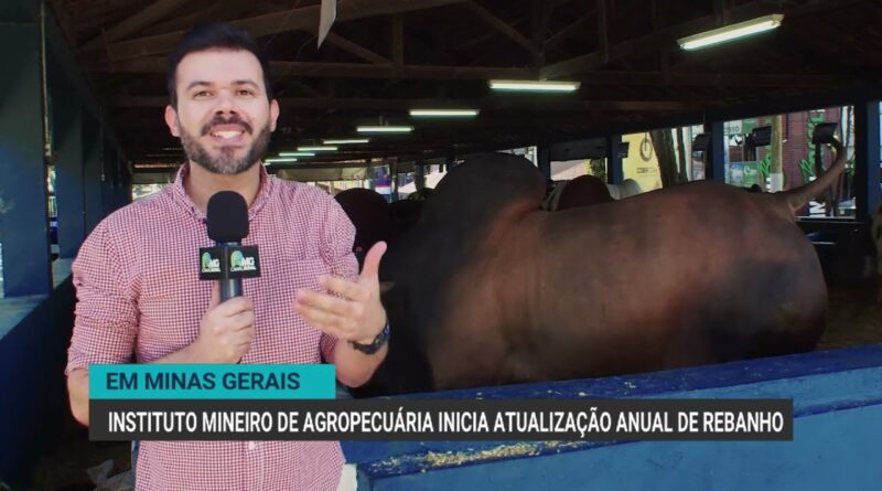 Instituto Mineiro de Agropecuária inicia atualização anual de rebanho