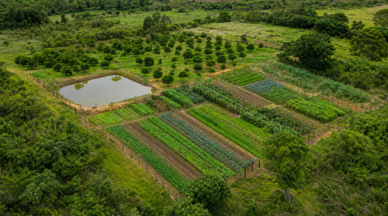 MDA e Fundação Banco do Brasil firmam acordo para ações em territórios tradicionais