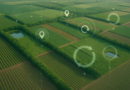 Mapa apresenta Programa Caminho Verde Brasil em debate sobre agro regenerativo
