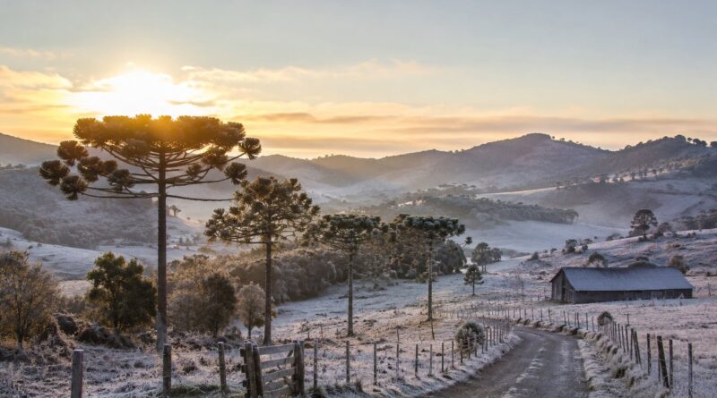 Massa de ar polar provoca frio intenso em boa parte do país e mantém risco de geada