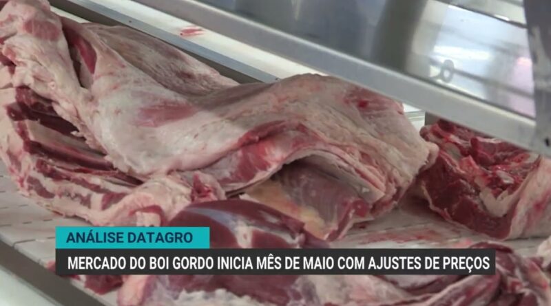Mercado do boi gordo inicia maio com ajustes e demanda aquecida