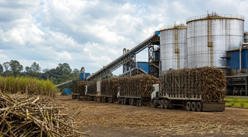 Moagem de cana cai 2,1% no Norte e Nordeste até março