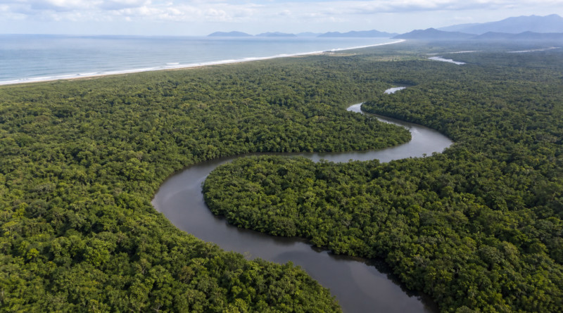 Povos tradicionais lançam aliança em defesa da Mata Atlântica