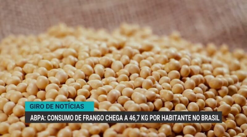 Preços mundiais dos alimentos atingem maior nível em três anos