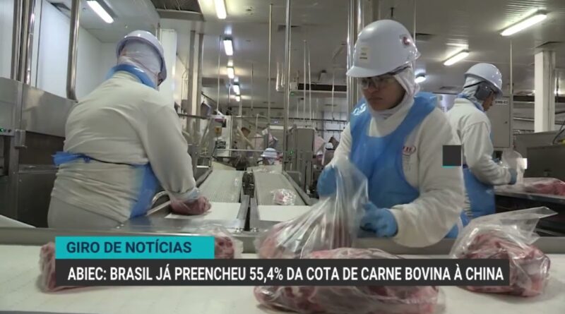 Produção de café no Brasil pode alcançar 66,7 milhões de sacas em 2026