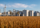 Mato Grosso projeta alta de 16,08% na produção de etanol em 2026/27