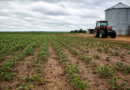 Produtores cobram avanço de projeto no Senado para renegociar dívidas rurais