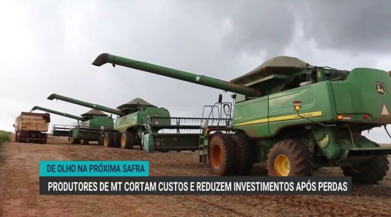 Produtores de Mato Grosso cortam custos após perdas na safra de soja