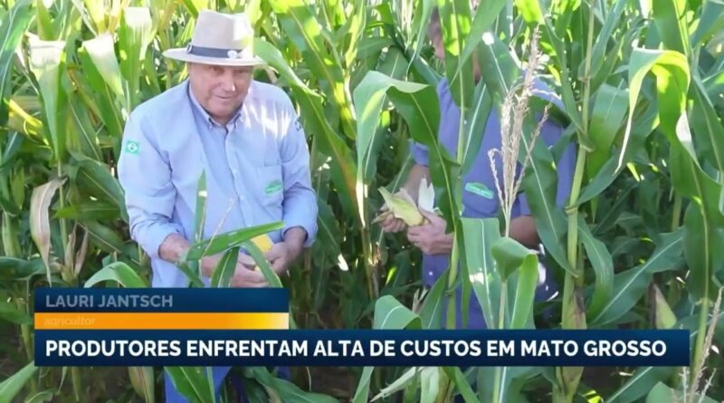 Produtores de soja em Mato Grosso enfrentam alta de custos e baixa rentabilidade