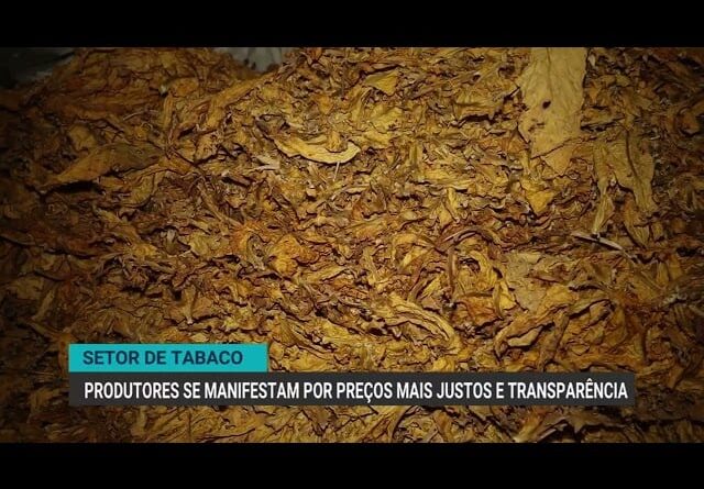 Produtores de tabaco se manifestam por preços mais justos e transparência