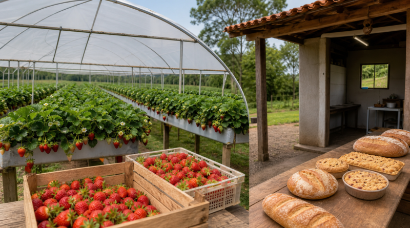 Programa amplia renda de produtoras rurais em Rio Bonito do Iguaçu