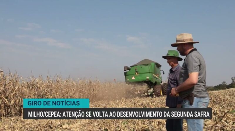 Projeção do VBP deve superar R$ 1,4 trilhão em 2023, aponta Mapa