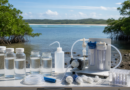 Projeto usa DNA ambiental para mapear fauna marinha no sul da Bahia