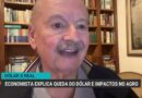 Queda do dólar e seus impactos no agronegócio brasileiro