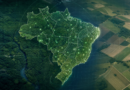 Registros de biodiversidade no Brasil avançam 65,49% entre 2022 e 2025, diz IBGE