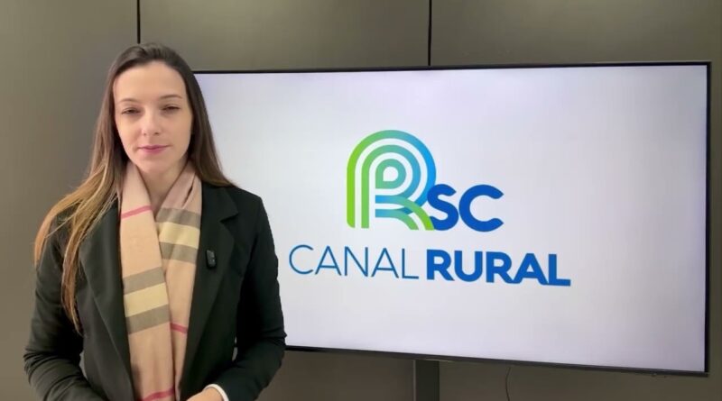 Santa Catarina registra crescimento histórico na produção de suínos e agropecuária