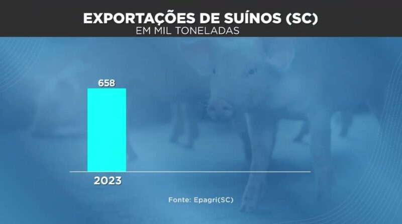 Santa Catarina registra crescimento nas exportações de aves e suínos em três anos