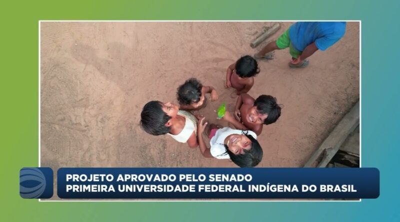 Senado aprova criação da primeira universidade federal indígena do Brasil