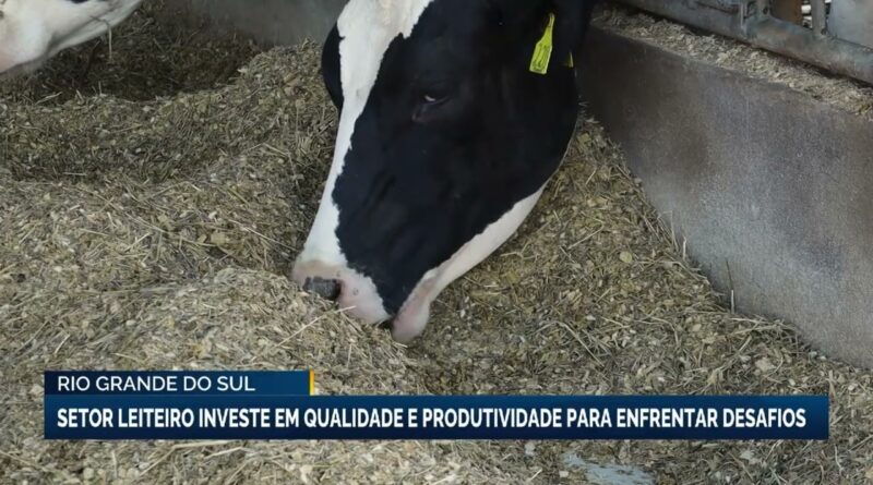 Setor leiteiro do RS investe em qualidade e produtividade para enfrentar desafios
