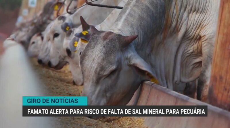 União Europeia audita Brasil para reabertura do mercado de pescados