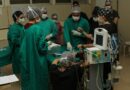 cirurgia em peixe