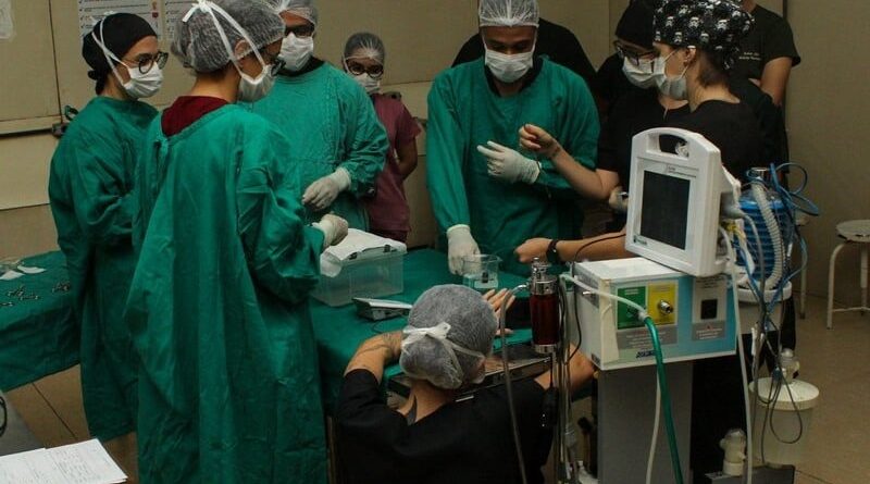 cirurgia em peixe