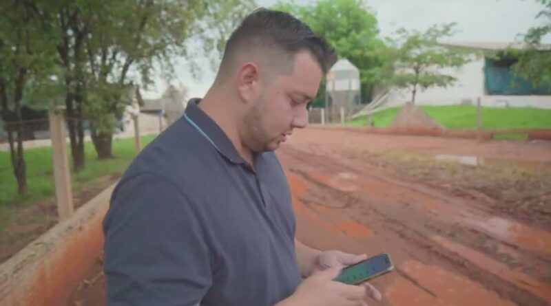 Uso de inteligência artificial acelera decisões nas granjas brasileiras