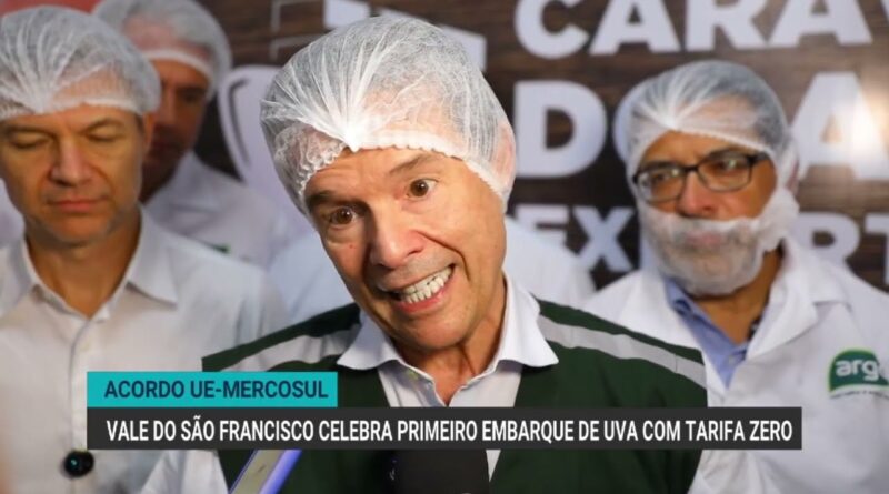 Vale do São Francisco celebra primeiro embarque de uva com tarifa zero para a UE