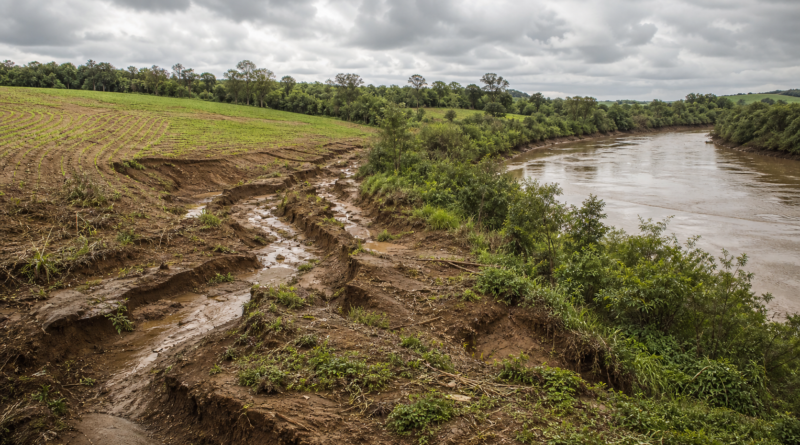 Vale do Taquari recebe Dia de Campo sobre recuperação rural pós-enchente