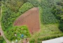 Propriedade rural na capital paulista