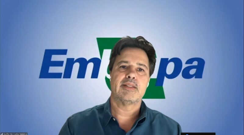 Foto: Reprodução/Giro do Boi.