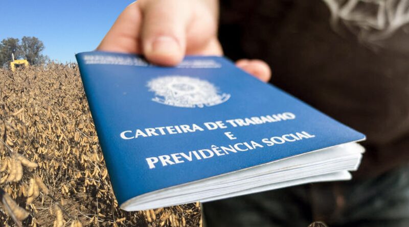 trabalho, agronegócio, brasil, pesquisa, cepea, caged, CNA, agro