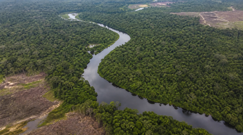 Reino Unido conclui aporte de R$ 500 milhões ao Fundo Amazônia