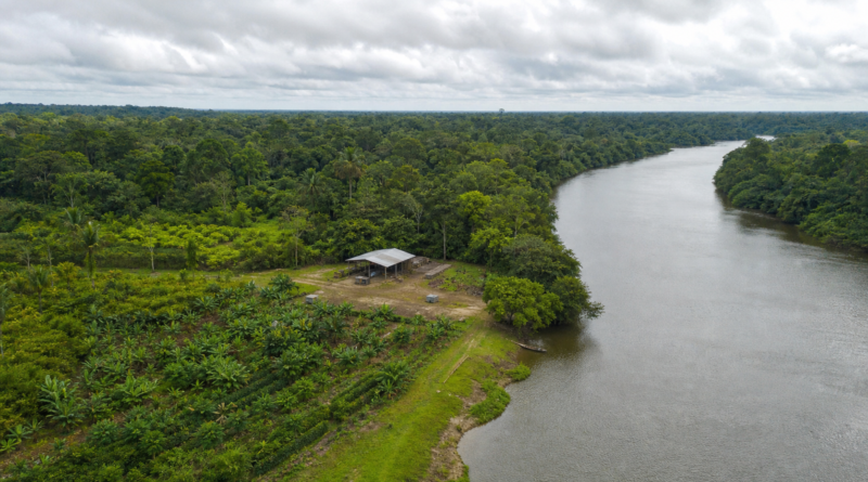 Edital Amazônia Viva seleciona 40 projetos para produção rural sustentável
